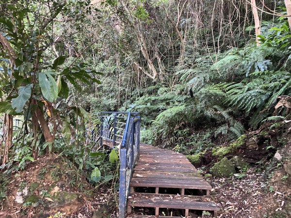 [微笑山線_第六段] 2025_0807 二格山系_和美山螢火蟲段2854610