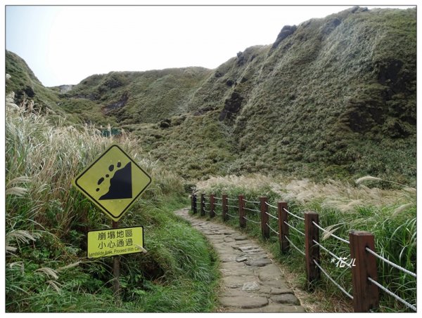 台北/七星山登山步道730542