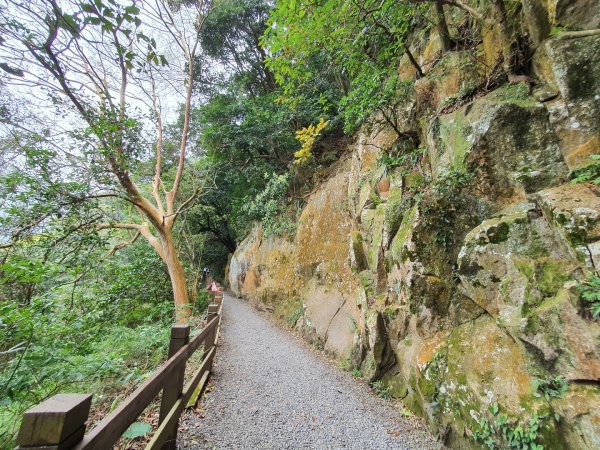 天母水管路古道，翠峰瀑布，芝山岩步道群，貴子坑水土保持園區，奇岩山，泰山義學坑步道，八連溪水車公園1630905