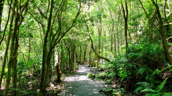 內雙溪自然中心2808691