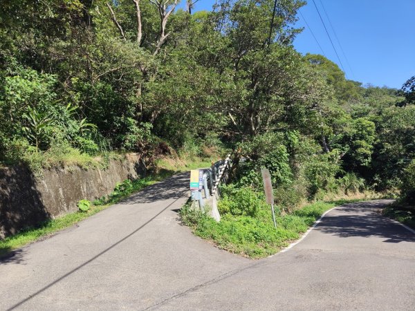 微笑山線：【大棟山系】百年大溶樹的2937023