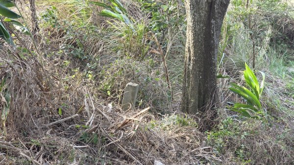 四角坪道、羊寮坑道3002332