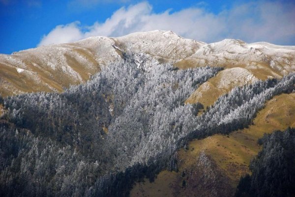 【公告】109年合歡山雪季公告事項