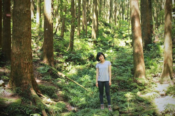 尖石鄉：那結山、貴妃山1080956