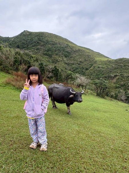 🌈11/2草嶺古道~桃源谷~灣坑頭山~大里天公廟✨FB：熊熊趴爬走🌈2928844