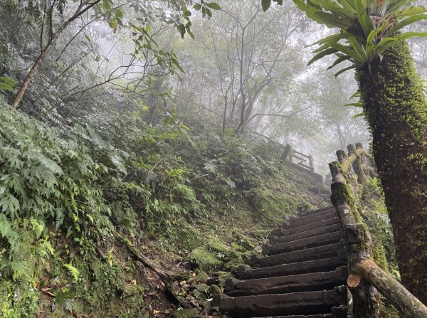 [微笑山線_第八段] 2026_0321 二格山系_二格山3020927