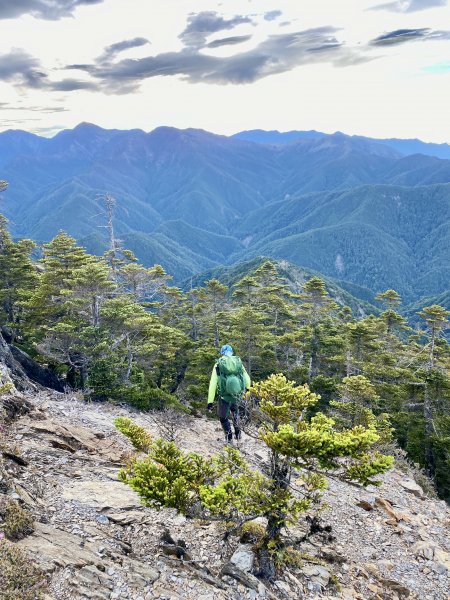 玉山後四峰--完登玉山群峰D2      2022/6/151738364