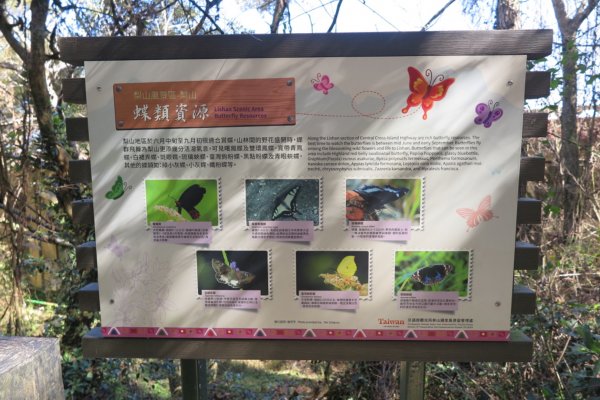 梨山賓館步道875985