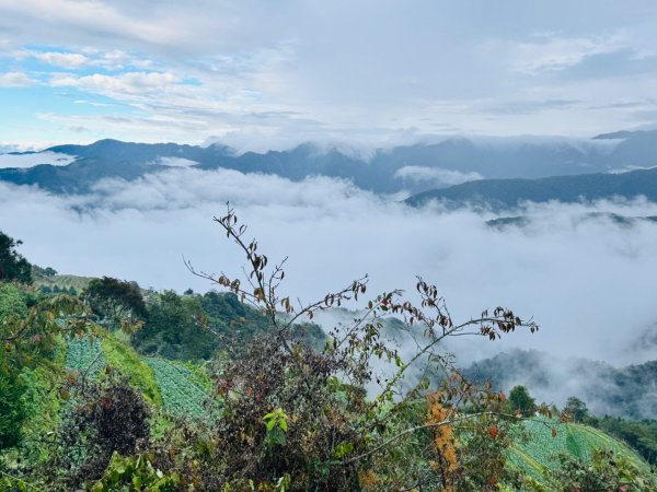 觀霧瀑布 賞鳥步道2926762