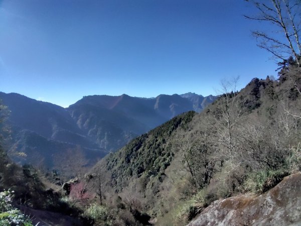 20240222特富野>>塔塔加   🧗塔特縱走⛰️2434731