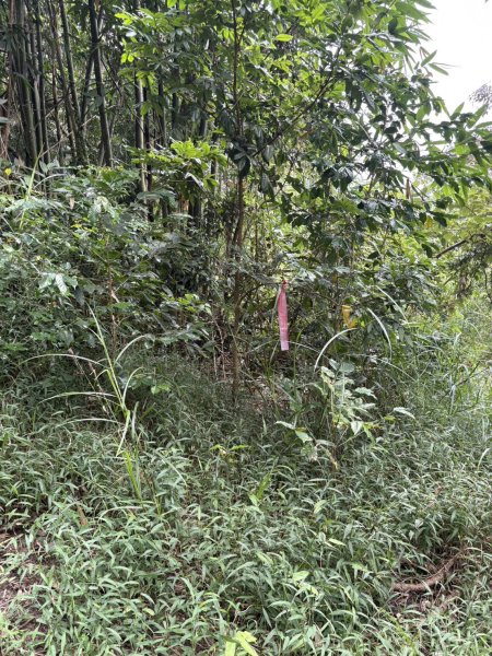 20251018台南 崁馬鞍部啟登崁頭山2920738