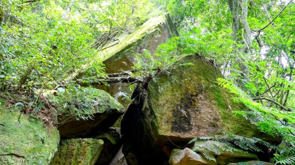 大邱田石門洞2856211