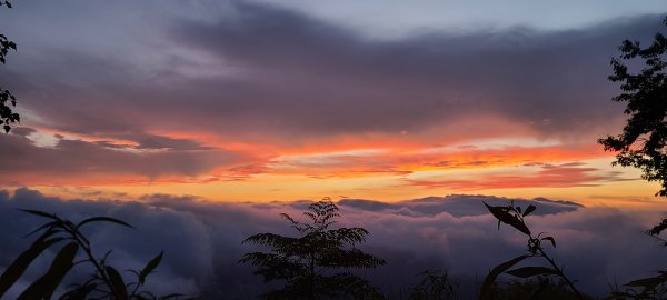 109.08.08東埔山日出雲海1064715