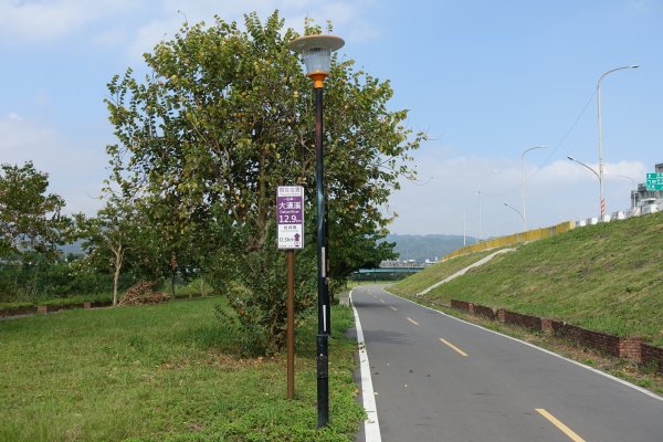 國家級城林人工濕地．打鳥埤人工溼地1182177