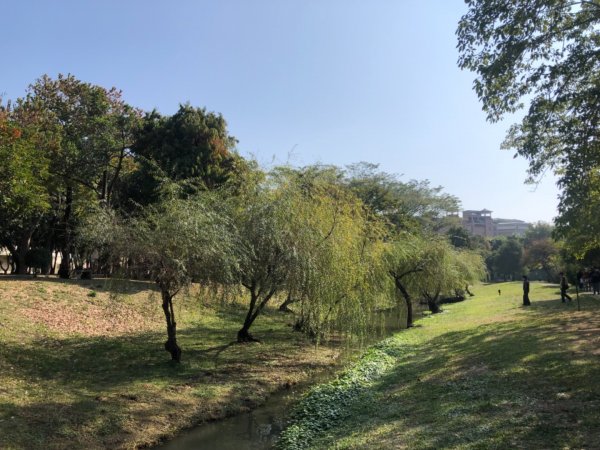 台南市東區巴克禮公園、彰化以南唯一小水準點高雄岡山大埔十四號1576498