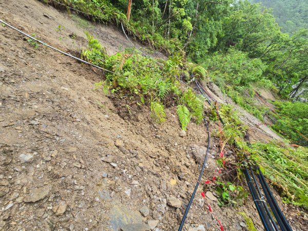 四大鳥山之首小劍山2773941