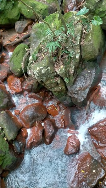 绢絲瀑布步道2840528