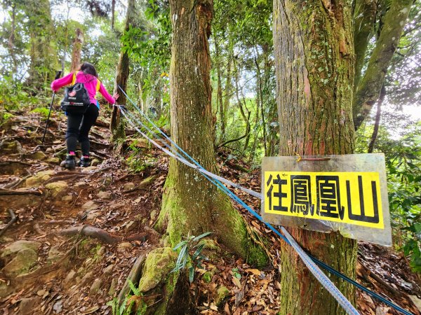 小百岳集起來-鳳凰山2183157