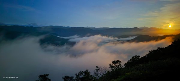 跟著雲海達人山友追雲趣 #草莓月亮 #月圓雲海 #霞光 #日出雲海 #茶園 6/112808819