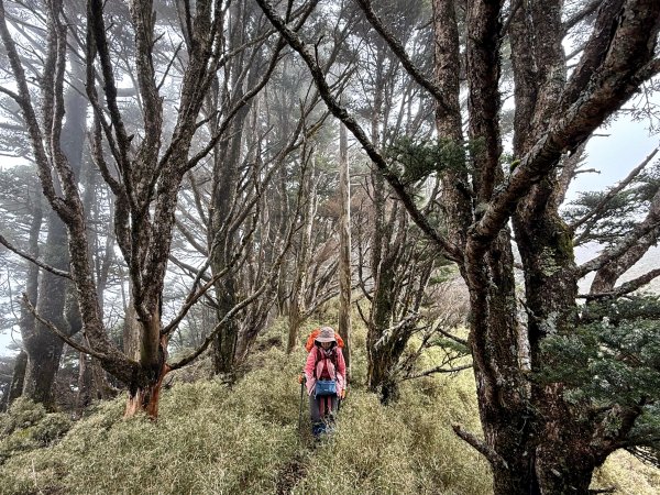 南一段 2025 / 04/02~04/062764421