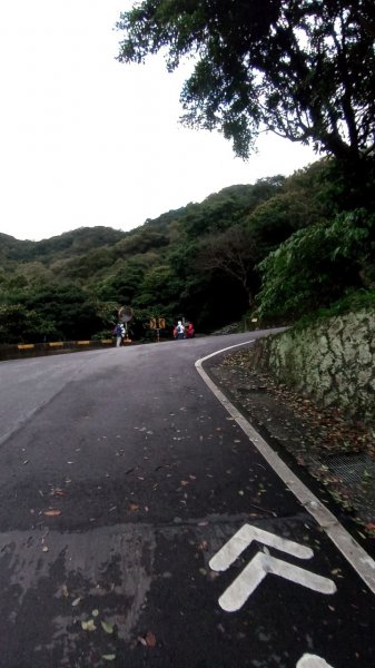 陽明山東西大縱走，下次再把西段走完1963572