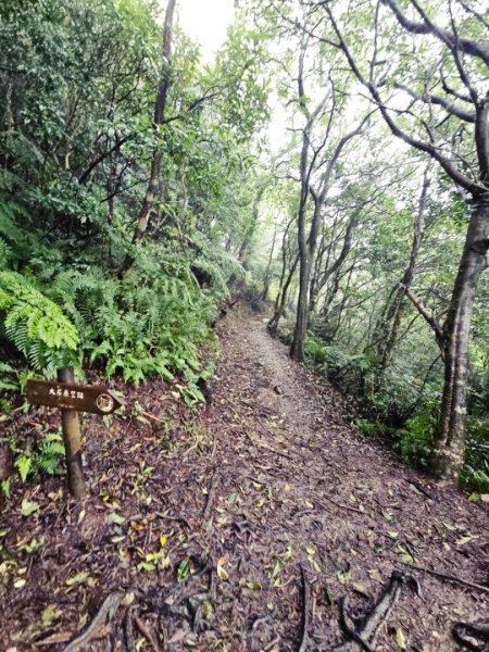 2025臺北大縱走第四段：風櫃口至中華科技大學2973484