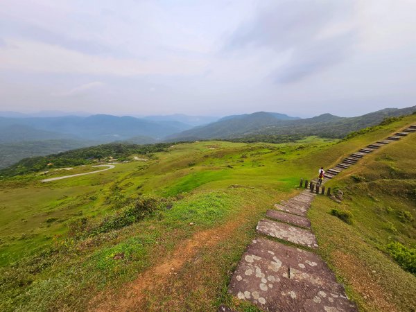 小百岳集起來-灣坑頭山2185214