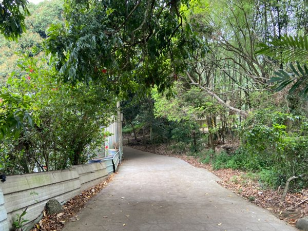 大坑2號原路來回2130458