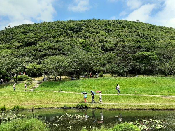 端午登高順陽好節氣 炎炎夏日。登高看雲去1008994