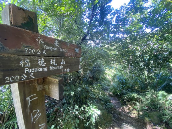 2025微笑山線大縱走尋寶集章任務-Ep.03【鳶山山系】鳶山彩壁段2893674