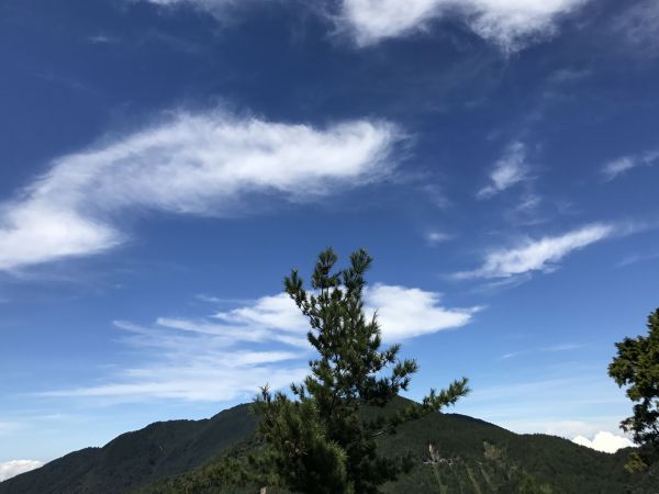 觀霧.榛山.雲霧步道179050