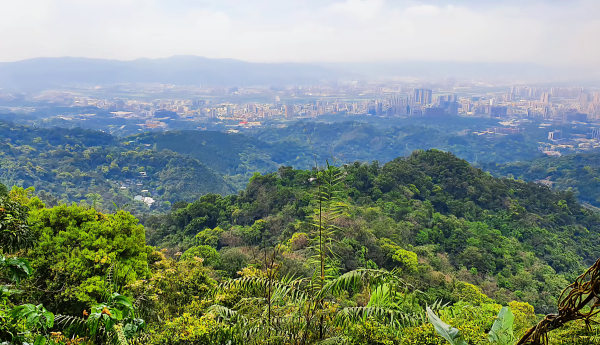 太極嶺，五城山，文筆山，將軍嶺