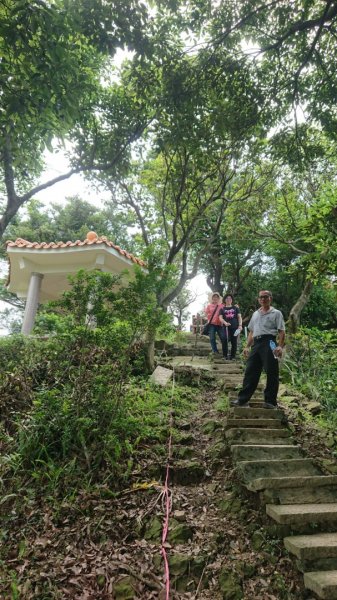 桃園龜山-兔仔坑大棟山987072