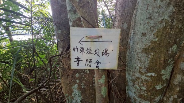 20251222竹東三山步道O型連走(樹杞林山、新具庄山、員崠子山)2975778