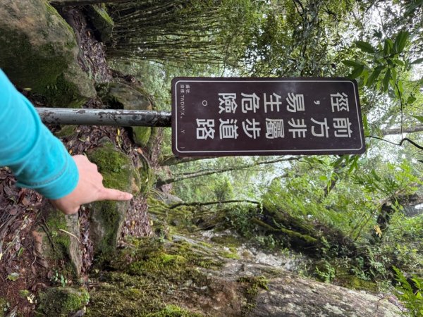 20250607 春谷養鱒場所上加里山 出大坪2805231