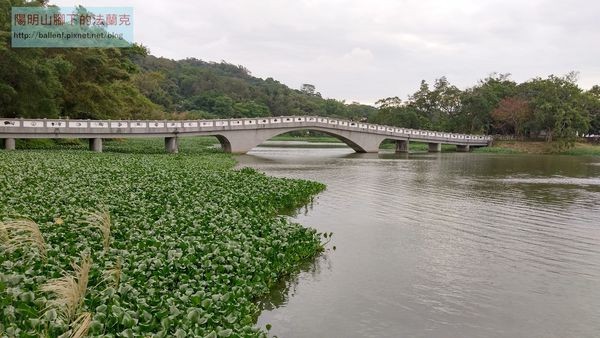 【新竹】青草湖步道