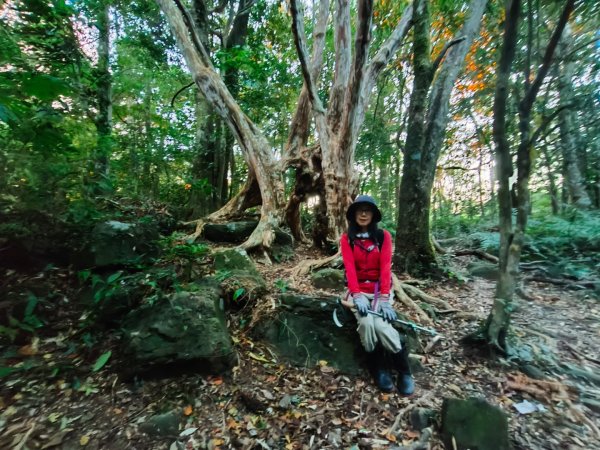 1121125 鳥嘴山縱走貴妃山2363997