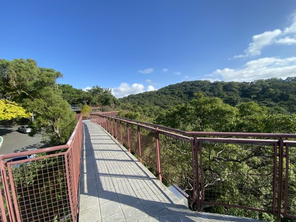 《金瑞治水園區開跑｜重訪金龍產道與碧山營地的暖陽晨跑》2951618