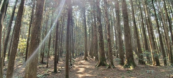 2026/04/14 高島縱走P型3037517