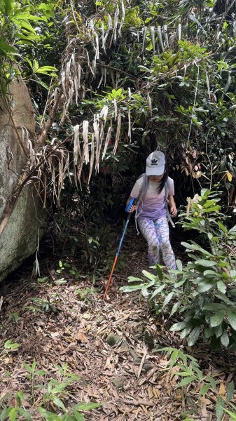 20250824小百岳大橫屏山2871820