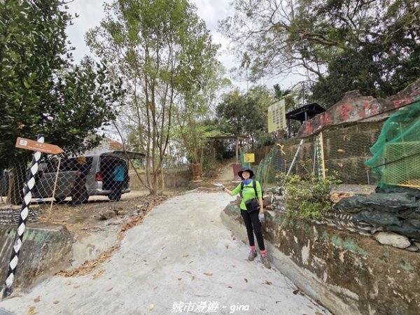 【屏東來義】小百岳棚集山x棚集下山O 繞3013099