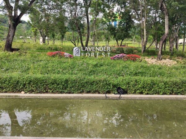 九九峰氦氣球樂園3055615