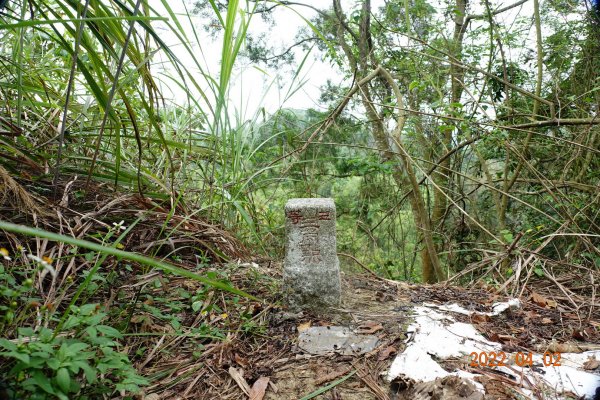 臺南 新化 大坑尾山1663953