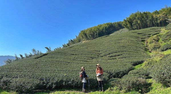 溪頭六連峰O繞2741787