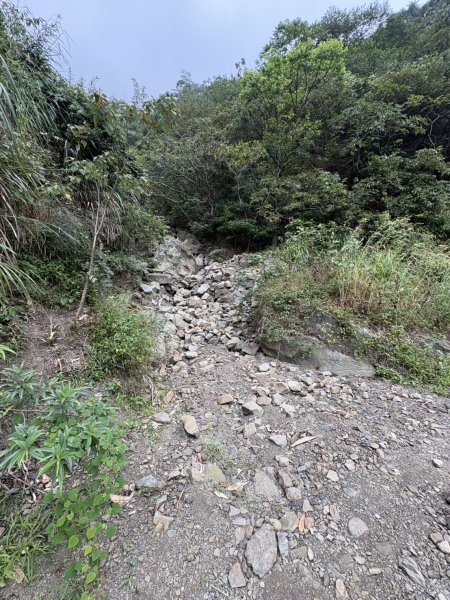 20251108西阿里關山步道(小林村東側登山口啟登)2933480