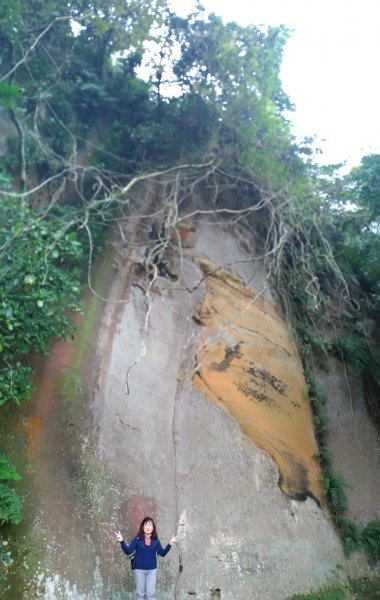 《輕鬆漫遊四獸山市民森林》象、獅、豹、虎1222712