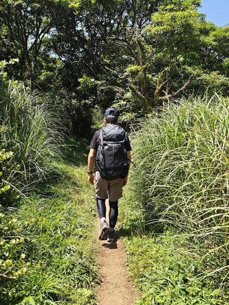 2026-0518 二子坪_大屯坪_青楓步道_猴砍水圳步道_橫嶺古道_半嶺水圳_天母圓環3057275