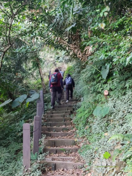崁頭山漫遊818174