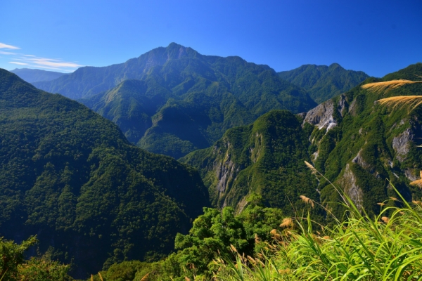 花蓮塔山登山步道