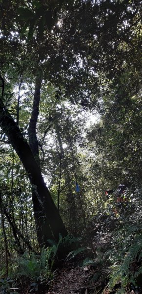 白姑大山之旅743396